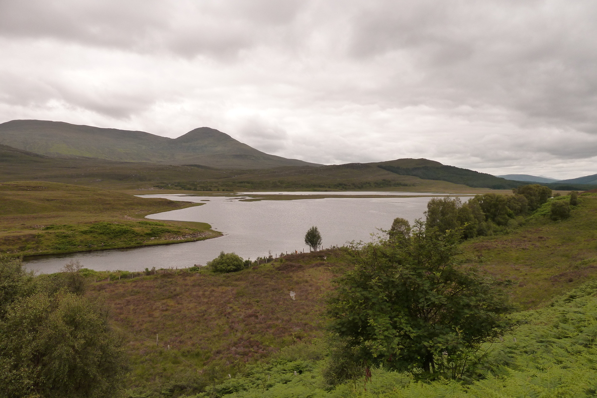 รูปถ่าย อังกฤษ(United Kingdom) เวสเตอร์รอสส์(Wester Ross) 2011-07 105