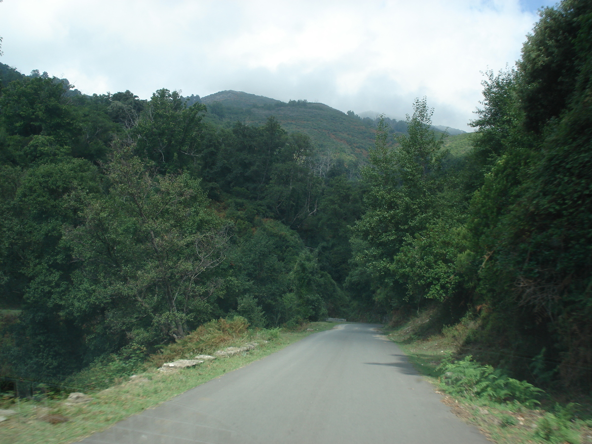 รูปถ่าย ฝรั่งเศส(France) คอร์สิคา(Corsica) วัลเล-ดาเลซานี(Valle d'alesani) 2006-09 57
