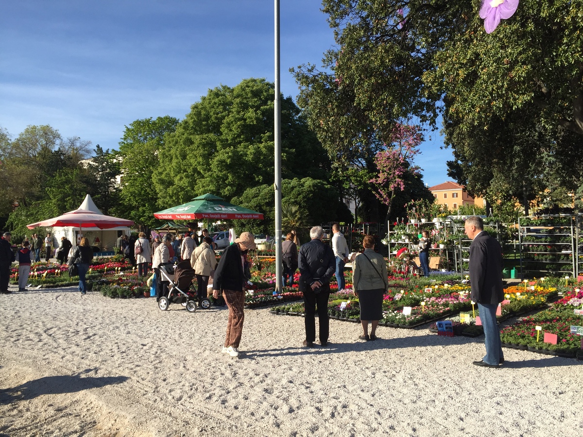 รูปถ่าย โครเอเชีย(Croatia) ซาดาร์(Zadar) 2016-04 8