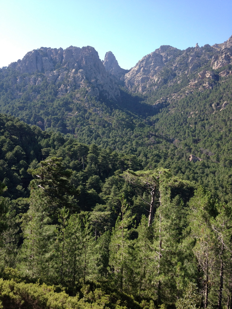 รูปถ่าย ฝรั่งเศส(France) คอร์สิคา(Corsica) บาแวลลา(Bavella) 2012-09 45