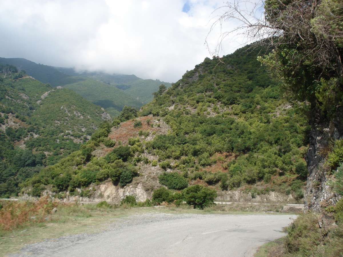 รูปถ่าย ฝรั่งเศส(France) คอร์สิคา(Corsica) วัลเล-ดาเลซานี(Valle d'alesani) 2006-09 75