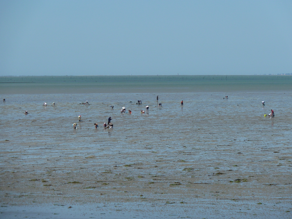 รูปถ่าย ฝรั่งเศส(France) นีวร์มูทีเย(Noirmoutier) 2010-07 32