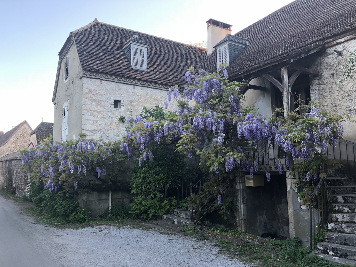 รูปถ่าย ฝรั่งเศส(France) ฟลัวรัก(Floirac) 2018-04 119