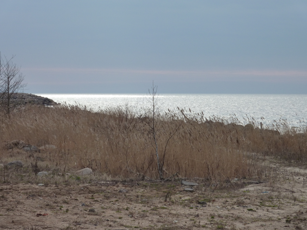 รูปถ่าย ลัตเวีย(Latvia) 2009-04 15