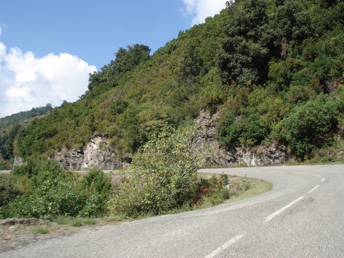 รูปถ่าย ฝรั่งเศส(France) คอร์สิคา(Corsica) วัลเล-ดาเลซานี(Valle d'alesani) 2006-09 100
