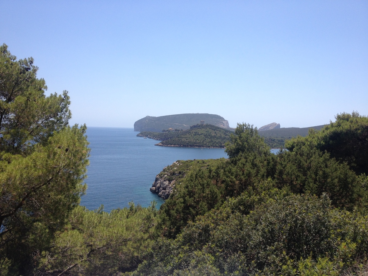 รูปถ่าย อิตาลี(Italy) ซาร์ดิเนีย(Sardinia) อุทยานธรรมชาติปอร์โตกอนเต(Porto Conte Regional Natural Park) 2015-06 26