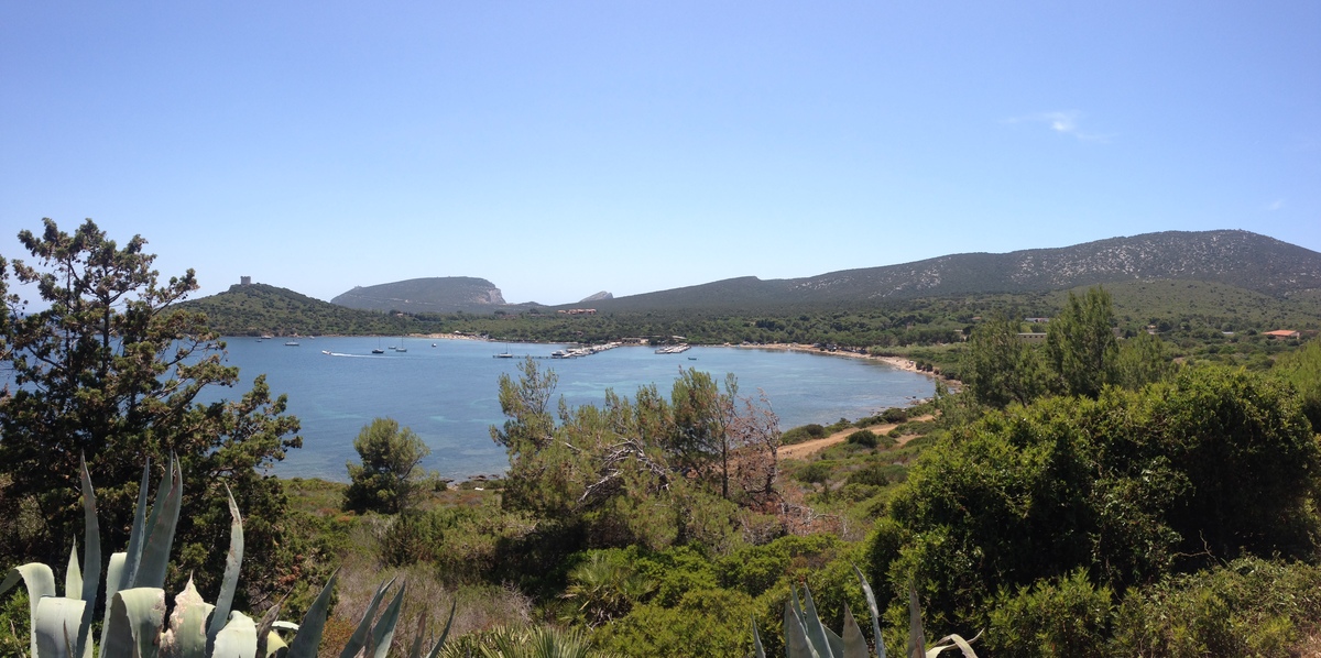 รูปถ่าย อิตาลี(Italy) ซาร์ดิเนีย(Sardinia) อุทยานธรรมชาติปอร์โตกอนเต(Porto Conte Regional Natural Park) 2015-06 25