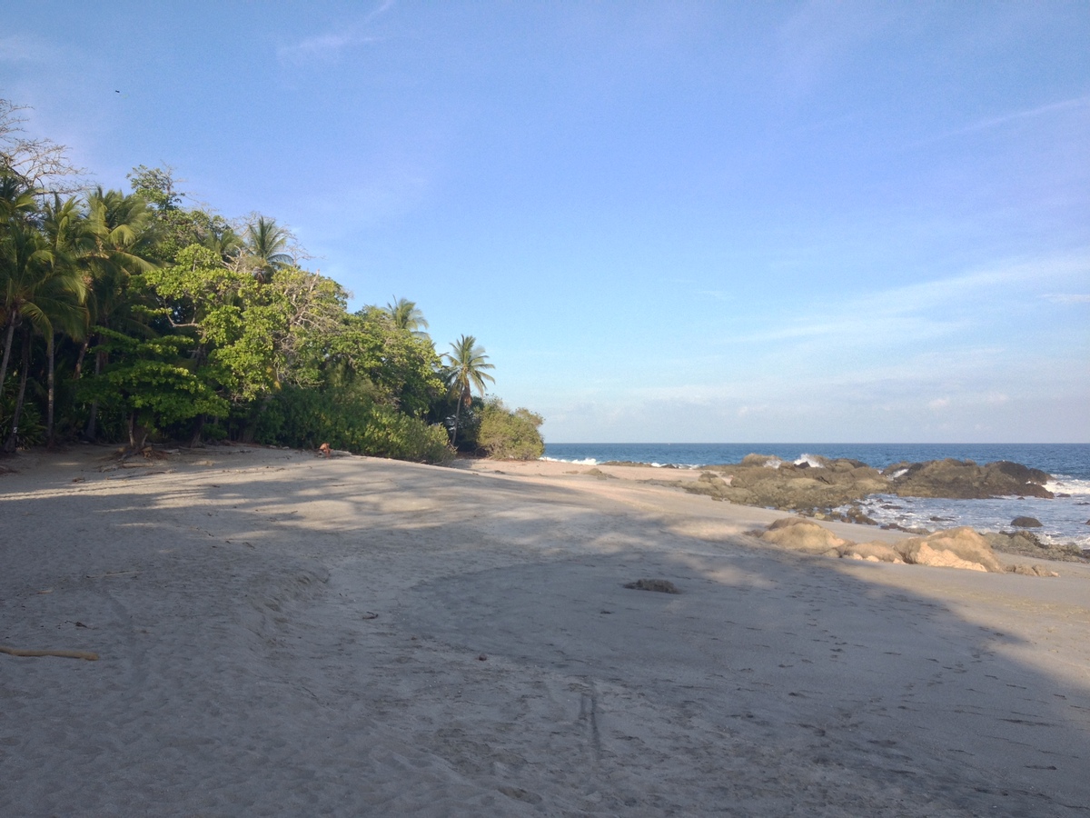 รูปถ่าย คอสตาริกา(Costa Rica) มอนเตซูมา(Montezuma) 2015-03 514