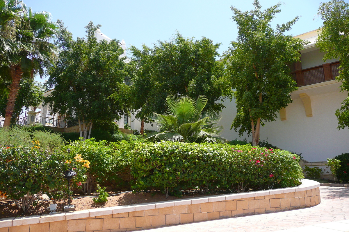 รูปถ่าย อียิปต์(Egypt) ชาร์มเอลชีค(Sharm el Sheikh) โรงแรมไฮแอต(Hyatt Hotel) 2008-06 173