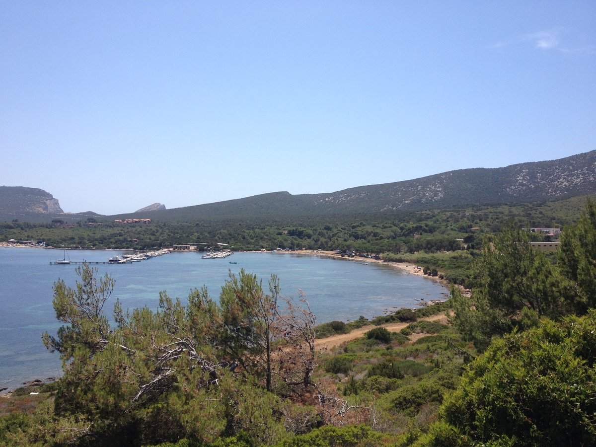 รูปถ่าย อิตาลี(Italy) ซาร์ดิเนีย(Sardinia) อุทยานธรรมชาติปอร์โตกอนเต(Porto Conte Regional Natural Park) 2015-06 29