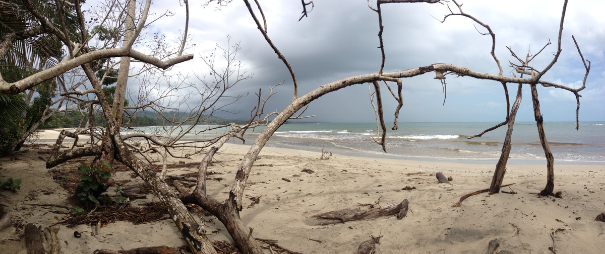 รูปถ่าย คอสตาริกา(Costa Rica) กาอุยตา(Cahuita) 2015-03 99