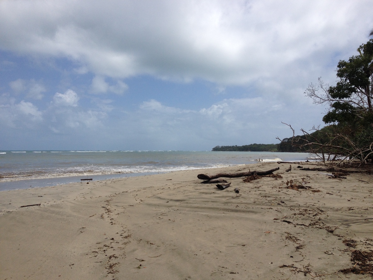 รูปถ่าย คอสตาริกา(Costa Rica) กาอุยตา(Cahuita) 2015-03 149
