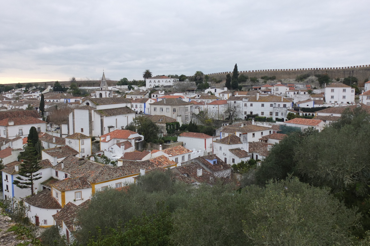 รูปถ่าย โปรตุเกส(Portugal) โอบีโดส(Obidos) 2013-01 58