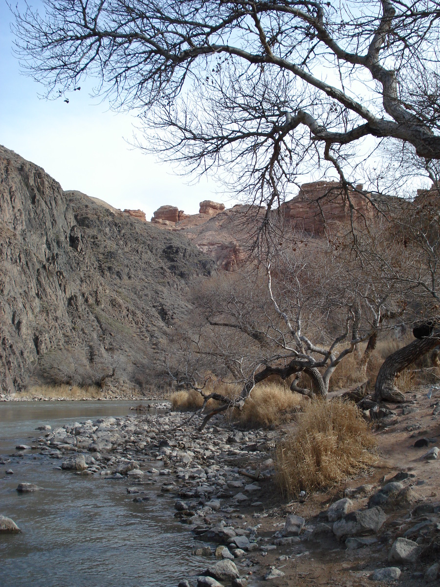 รูปถ่าย คาซัคสถาน(Kazakhstan) หุบผาชารึน(Charyn Canyon) 2007-03 49