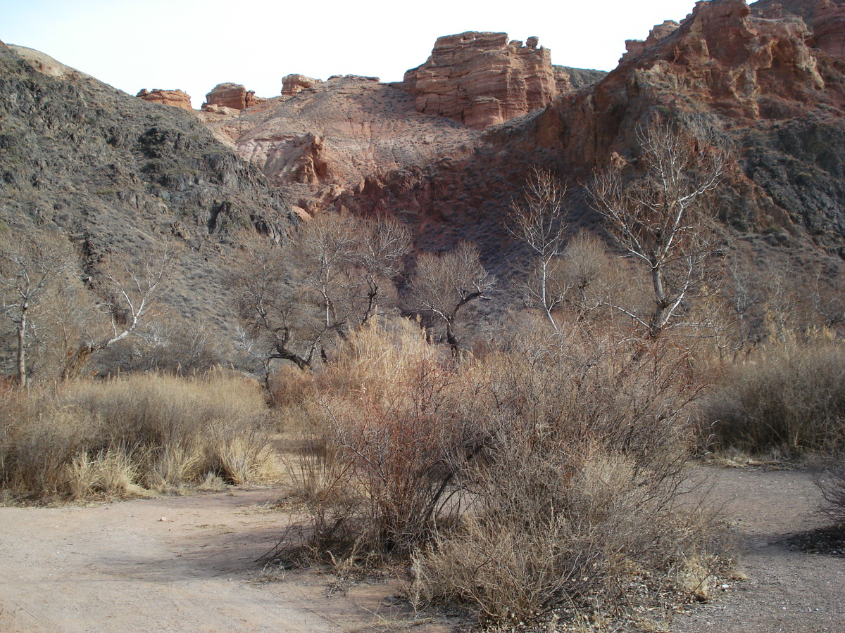 รูปถ่าย คาซัคสถาน(Kazakhstan) หุบผาชารึน(Charyn Canyon) 2007-03 48