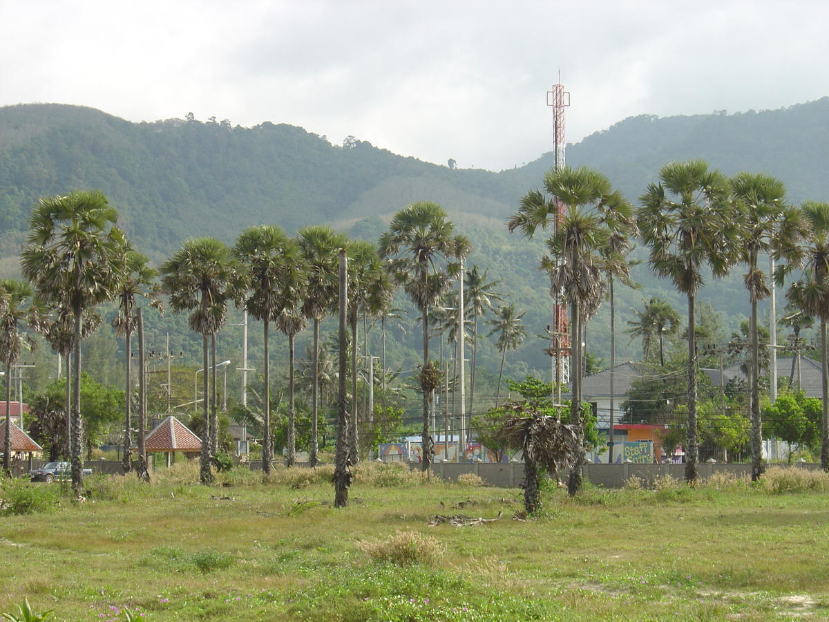 รูปถ่าย ไทย(Thailand) ภูเก็ต(Phuket) หาดกมลา(Kamala Beach) 2005-12 75