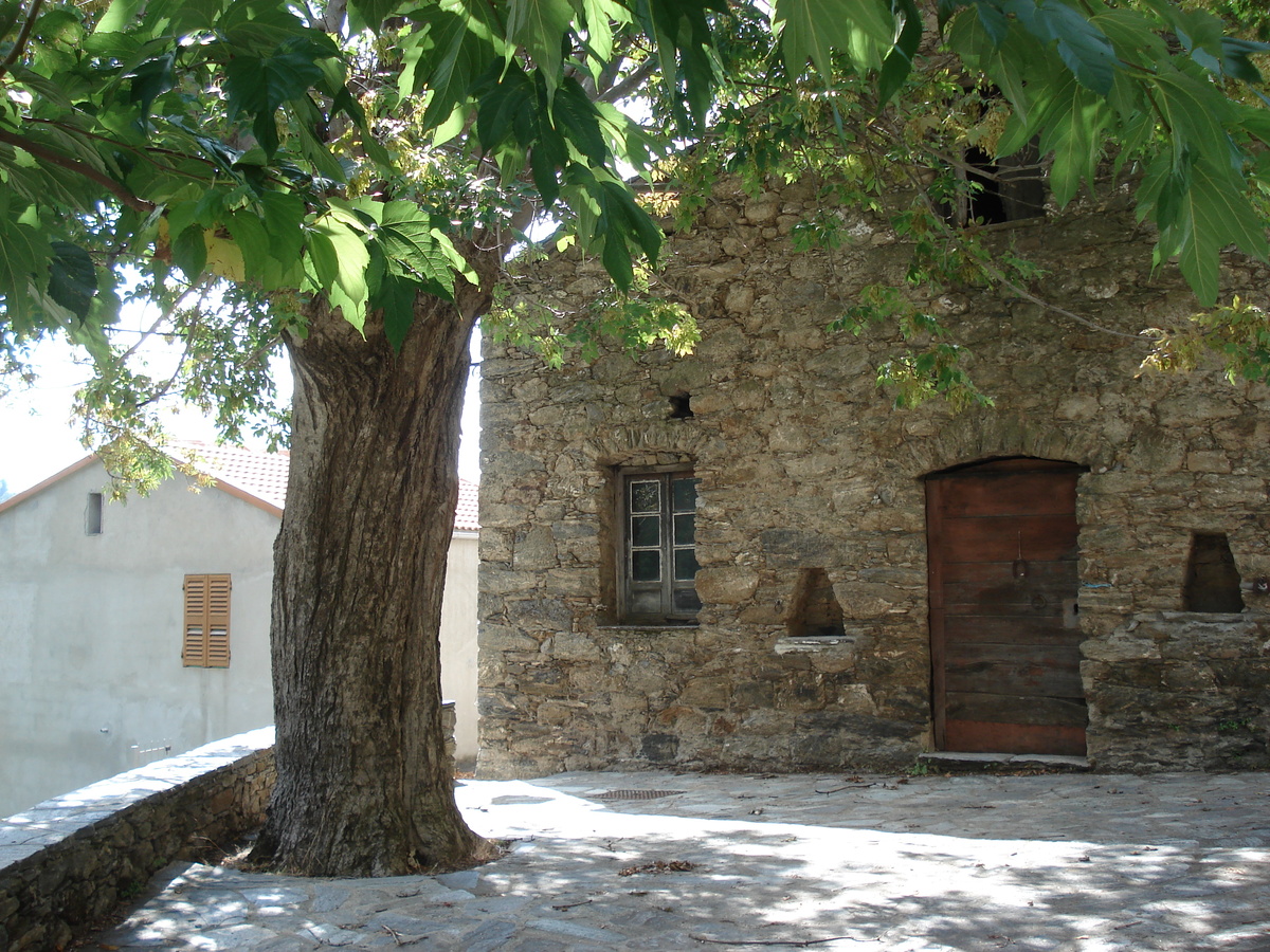 รูปถ่าย ฝรั่งเศส(France) คอร์สิคา(Corsica) วัลเล-ดาเลซานี(Valle d'alesani) 2006-09 74