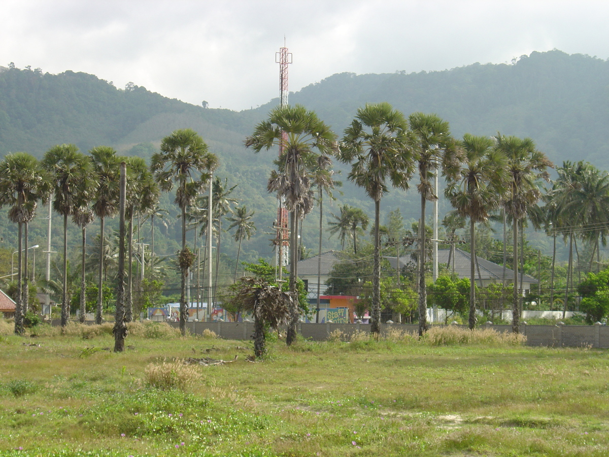รูปถ่าย ไทย(Thailand) ภูเก็ต(Phuket) หาดกมลา(Kamala Beach) 2005-12 63