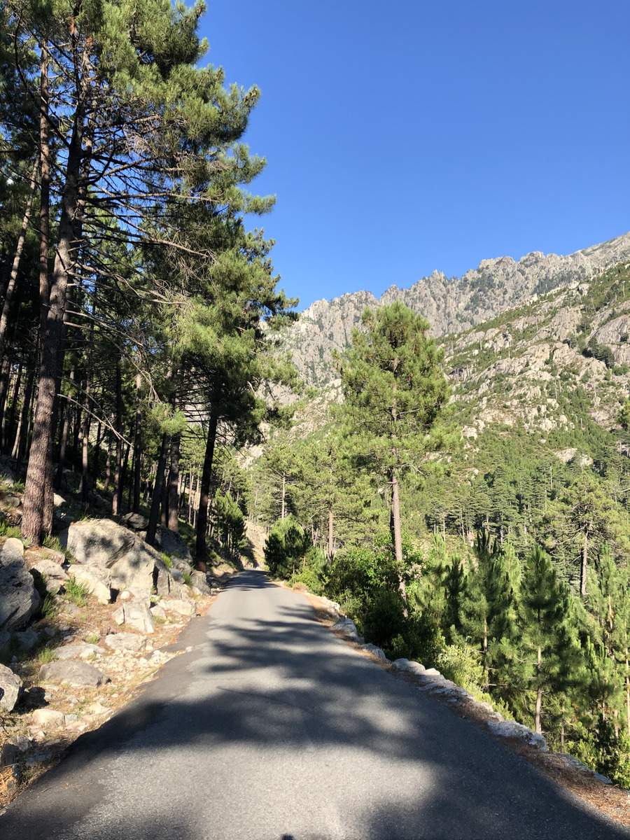รูปถ่าย ฝรั่งเศส(France) คอร์สิคา(Corsica) หุบเขาลาเรสโตนีกา(La Restonica) 2020-07 100