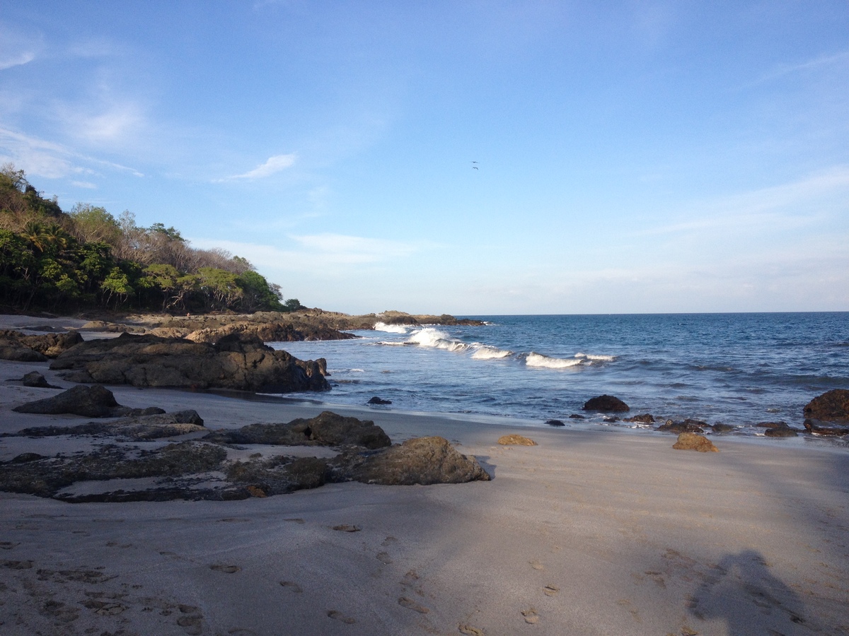รูปถ่าย คอสตาริกา(Costa Rica) มอนเตซูมา(Montezuma) 2015-03 70