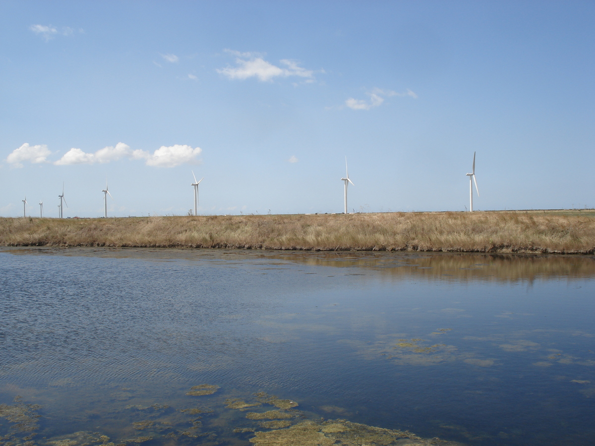 รูปถ่าย ฝรั่งเศส(France) วองเด(Vendee) 2006-08 3