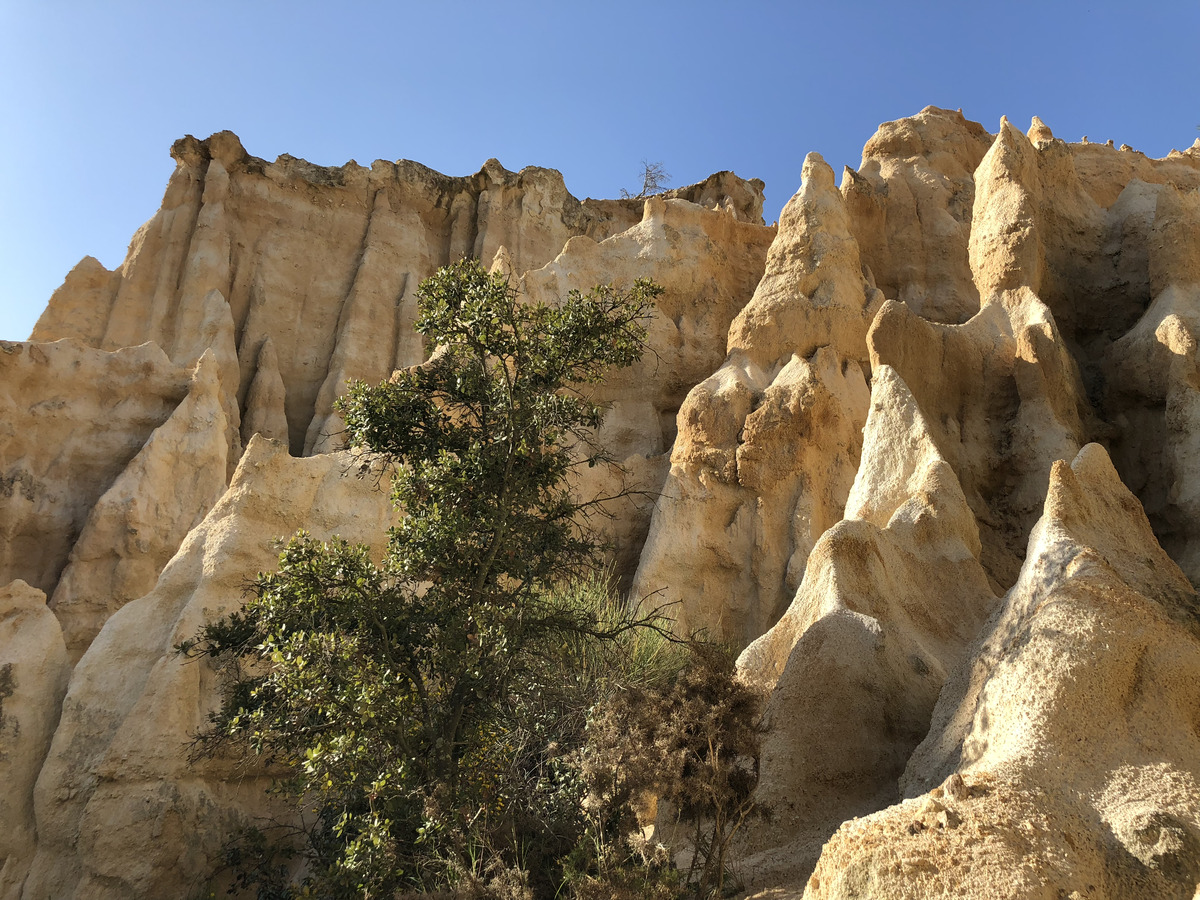 รูปถ่าย ฝรั่งเศส(France) เสาหินออร์กดีล-ซูร์-แต็ต(Orgues d'Ille Sur Tet) 2018-04 63