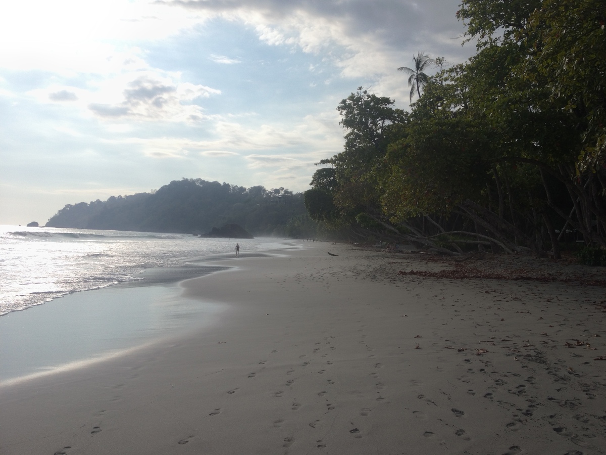 รูปถ่าย คอสตาริกา(Costa Rica) มานวยล์อันโตนีโอ(Manuel Antonio) 2015-03 87