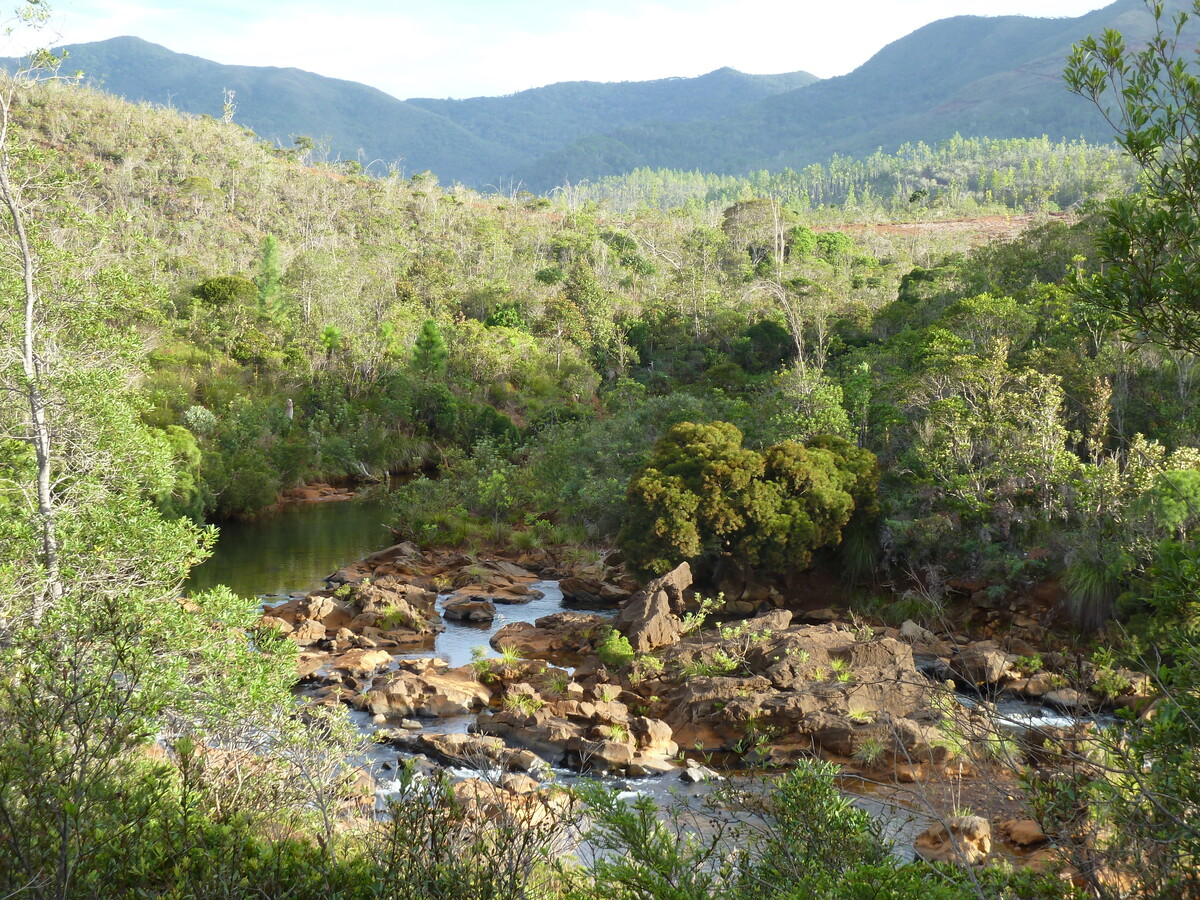 รูปถ่าย นิวแคลิโดเนีย(New Caledonia) 2010-05 38