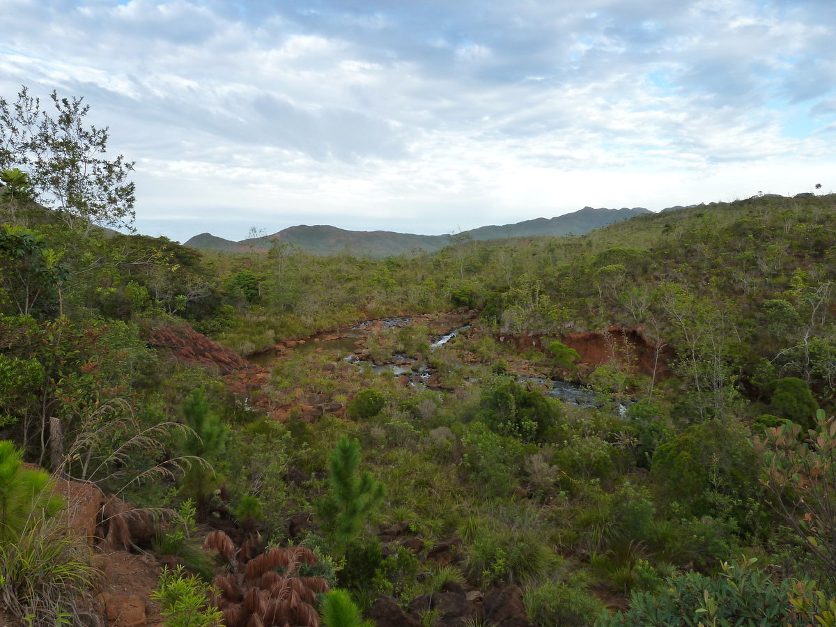 รูปถ่าย นิวแคลิโดเนีย(New Caledonia) อุทยานริเวียร์เบลอ(Parc de la Riviere Bleue) 2010-05 133