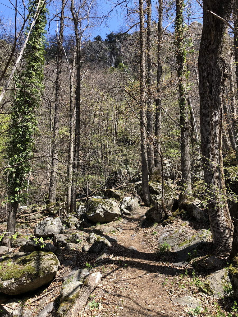 รูปถ่าย ฝรั่งเศส(France) แอบบีแซ็งมาร์แต็งดูกานีกู(Abbaye Saint Martin du Canigou) 2018-04 104