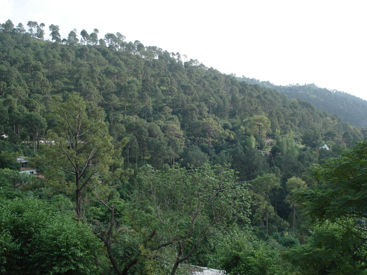 รูปถ่าย ปากีสถาน(Pakistan) ถนนจากอิสลามาบัดไปมัรรี(Islamabad to Murree road) 2006-08 1