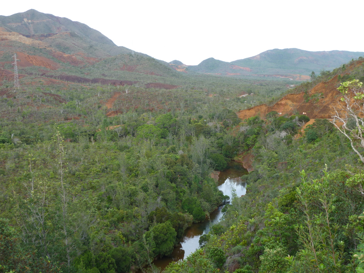รูปถ่าย นิวแคลิโดเนีย(New Caledonia) อุทยานริเวียร์เบลอ(Parc de la Riviere Bleue) 2010-05 89