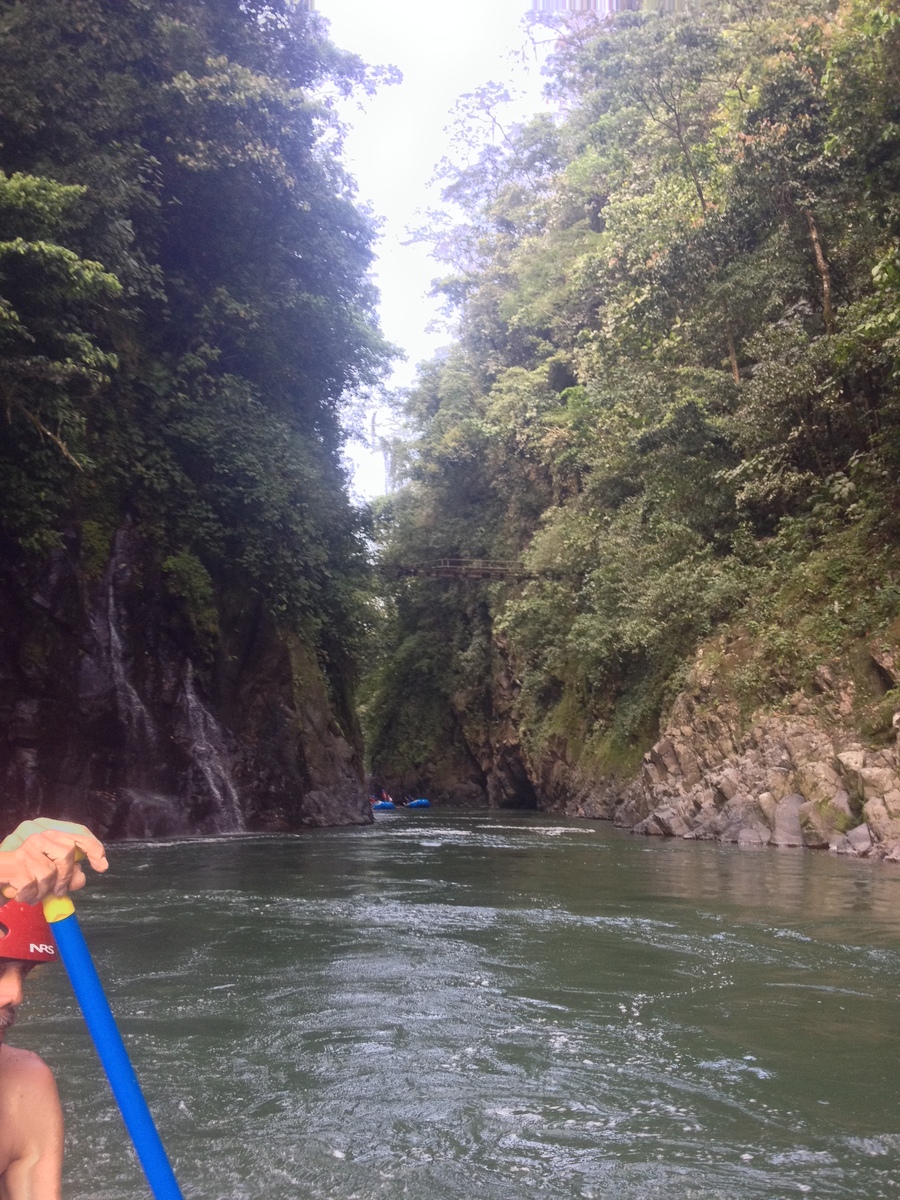 รูปถ่าย คอสตาริกา(Costa Rica) แม่น้ำปากัวเร(Pacuare River) 2015-03 133