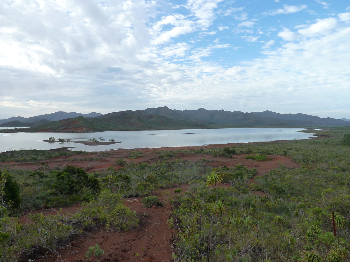 รูปถ่าย นิวแคลิโดเนีย(New Caledonia) อุทยานริเวียร์เบลอ(Parc de la Riviere Bleue) 2010-05 104