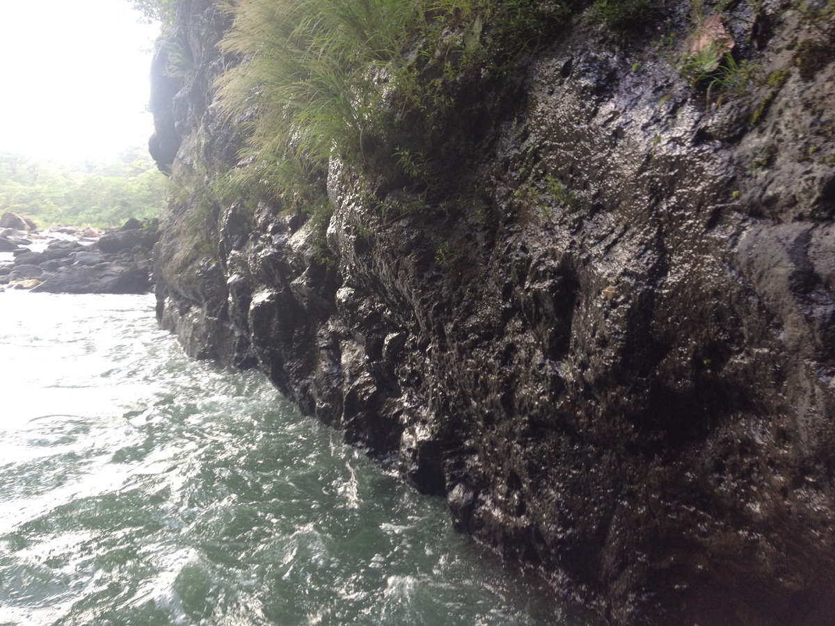 รูปถ่าย คอสตาริกา(Costa Rica) แม่น้ำปากัวเร(Pacuare River) 2015-03 100