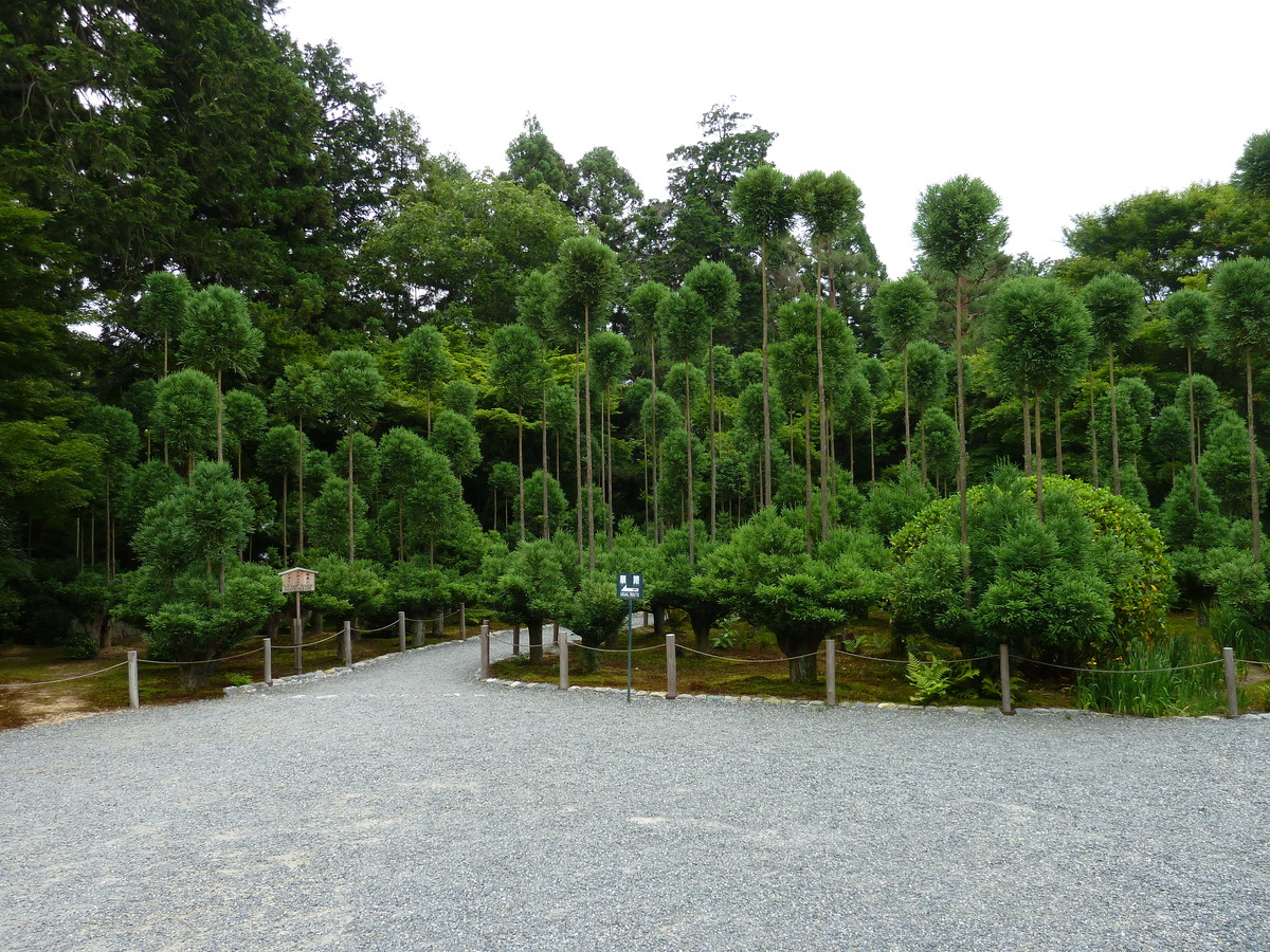 รูปถ่าย ญี่ปุ่น(Japan) เกียวโต(Kyoto) วัดเรียวอันจิ(Ryoanji Temple) 2010-06 25
