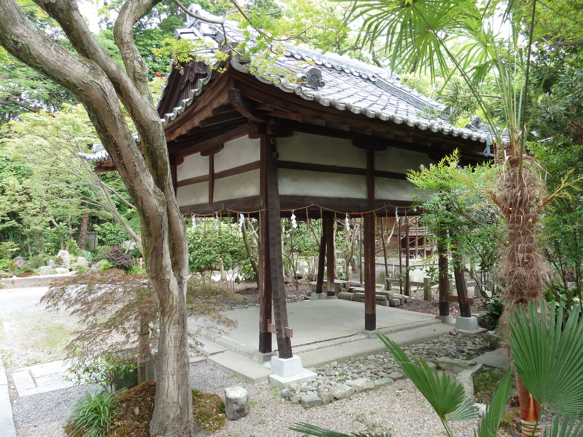 รูปถ่าย ญี่ปุ่น(Japan) เกียวโต(Kyoto) สวนเกียวโตเกียวเอ็ง(Kyoto Gyoen Garden) 2010-06 57
