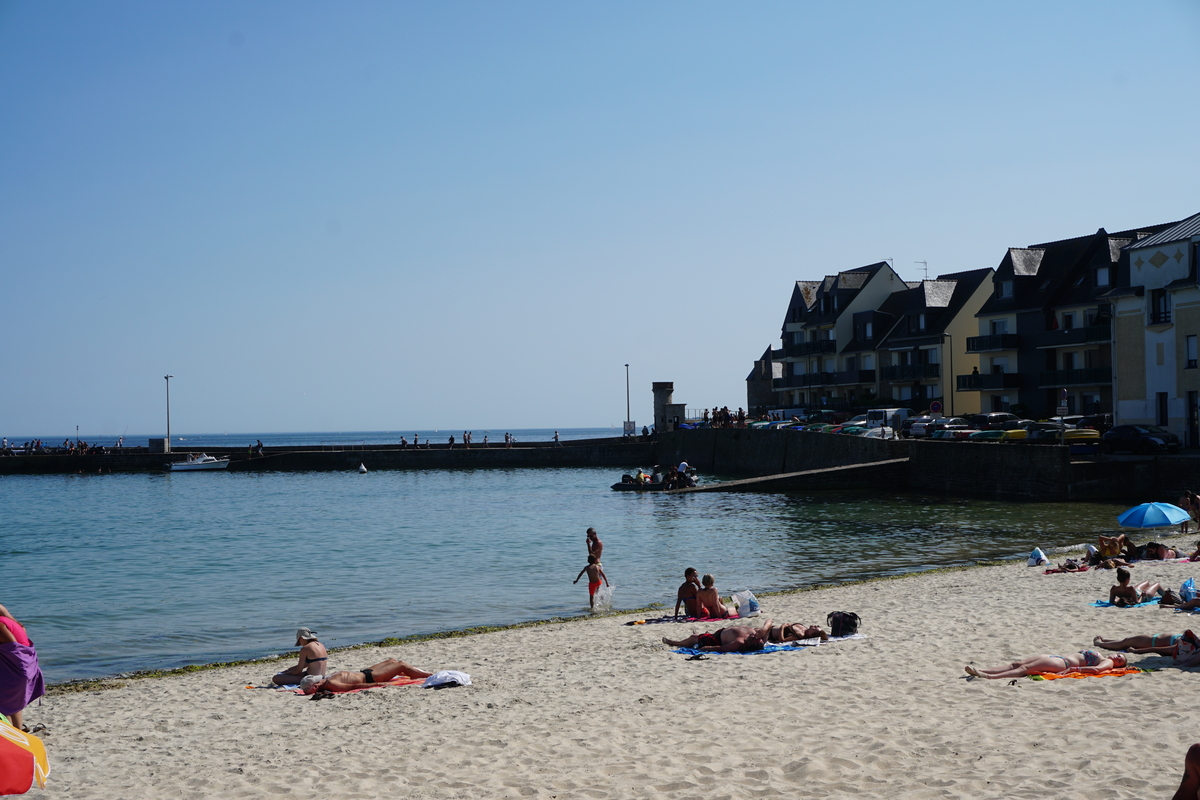 รูปถ่าย ฝรั่งเศส(France) ลาร์มอร์-ปลาฌ(Larmor-Plage) 2016-08 70