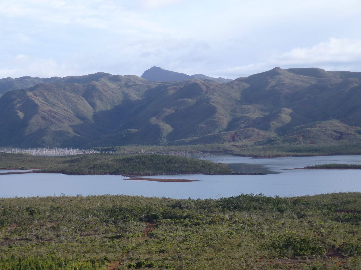 รูปถ่าย นิวแคลิโดเนีย(New Caledonia) อุทยานริเวียร์เบลอ(Parc de la Riviere Bleue) 2010-05 29