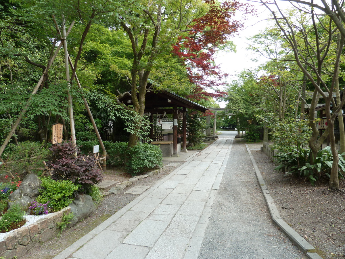 รูปถ่าย ญี่ปุ่น(Japan) เกียวโต(Kyoto) สวนเกียวโตเกียวเอ็ง(Kyoto Gyoen Garden) 2010-06 54