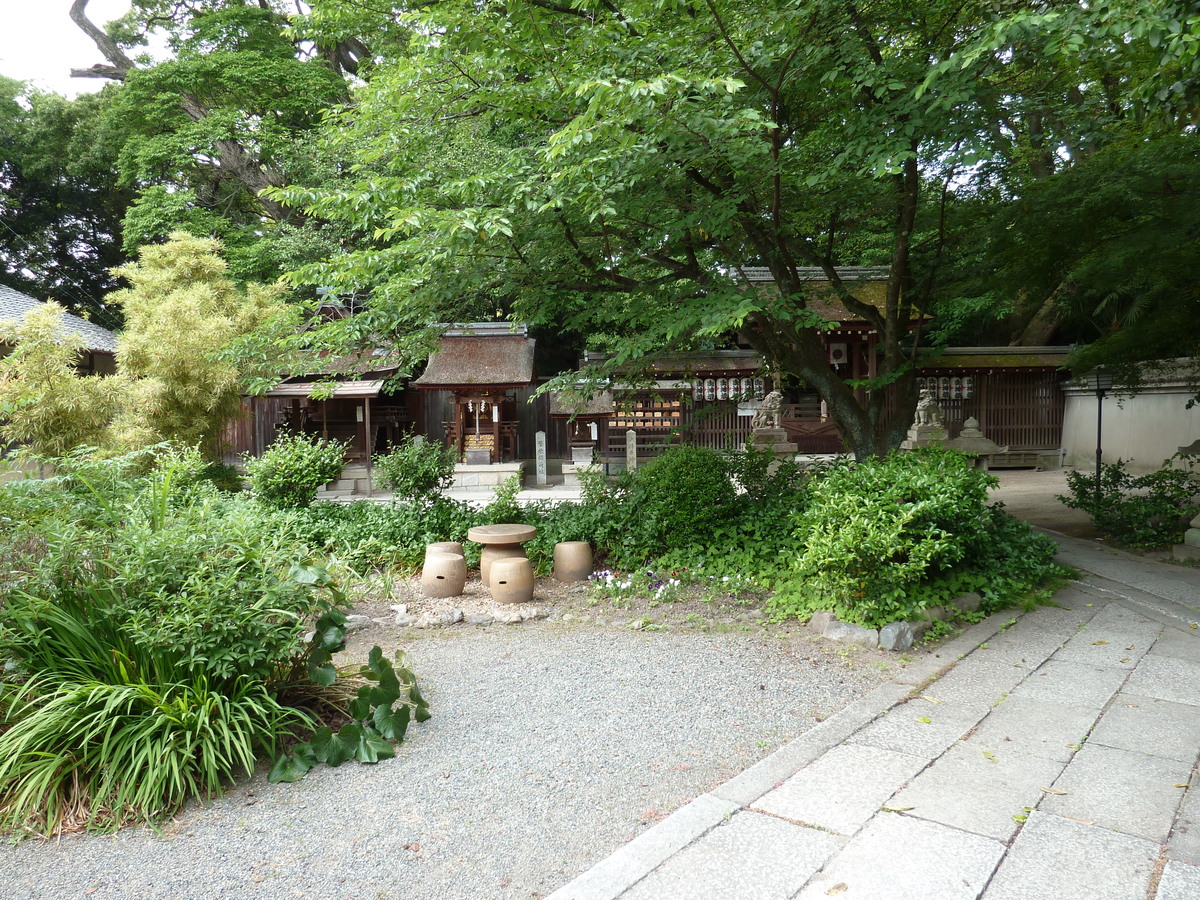 รูปถ่าย ญี่ปุ่น(Japan) เกียวโต(Kyoto) สวนเกียวโตเกียวเอ็ง(Kyoto Gyoen Garden) 2010-06 14
