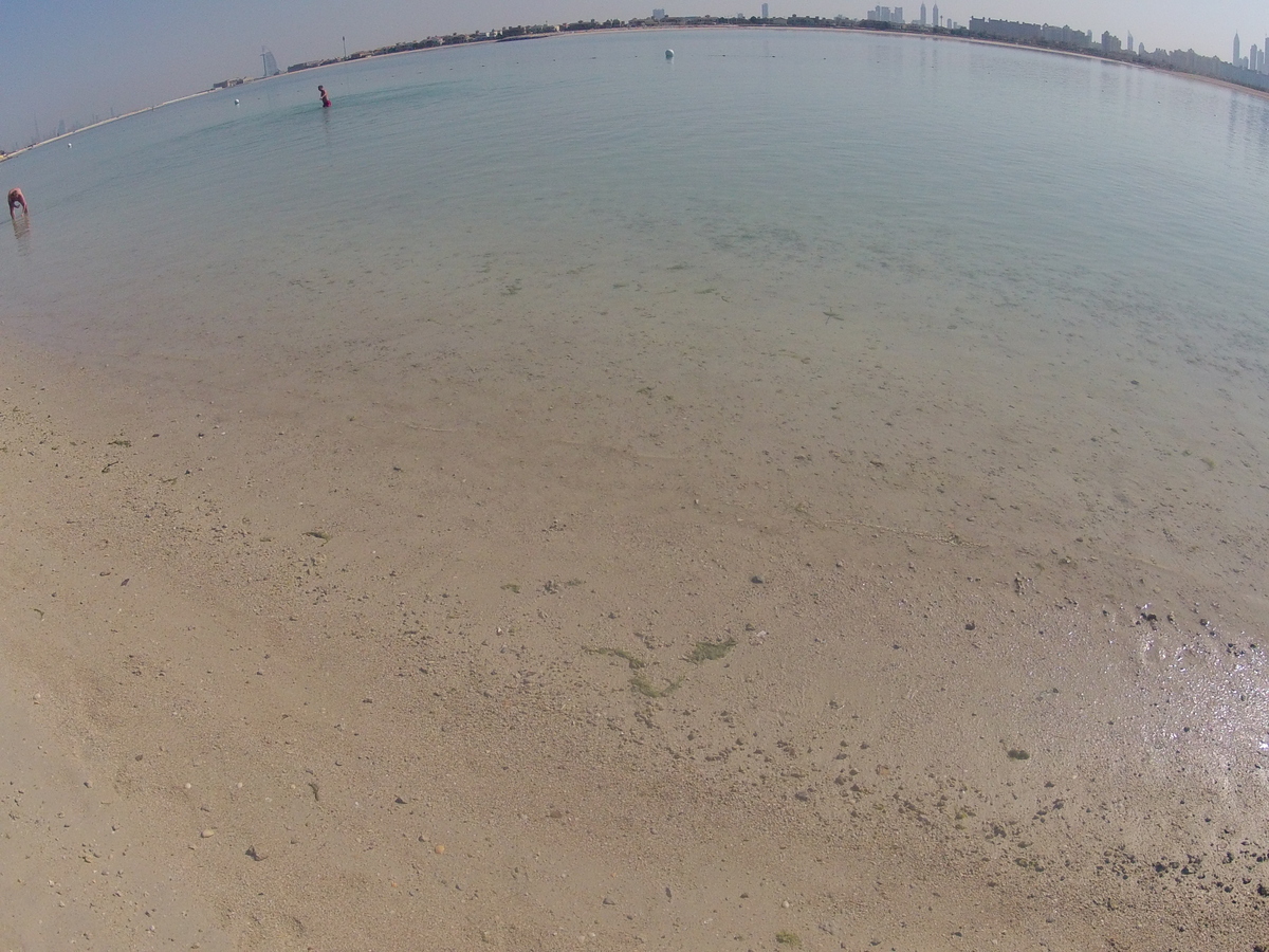 รูปถ่าย สหรัฐอาหรับเอมิเรตส์(United Arab Emirates) ดูไบ(Dubai) สวนน้ำอควาเวนเจอร์ ดูไบ(Dubai Aquaventure) 2012-01 54