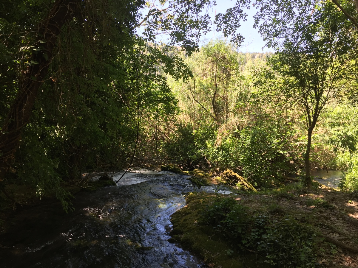 รูปถ่าย โครเอเชีย(Croatia) อุทยานแห่งชาติเคอร์คา(Krka National Park) 2016-04 94