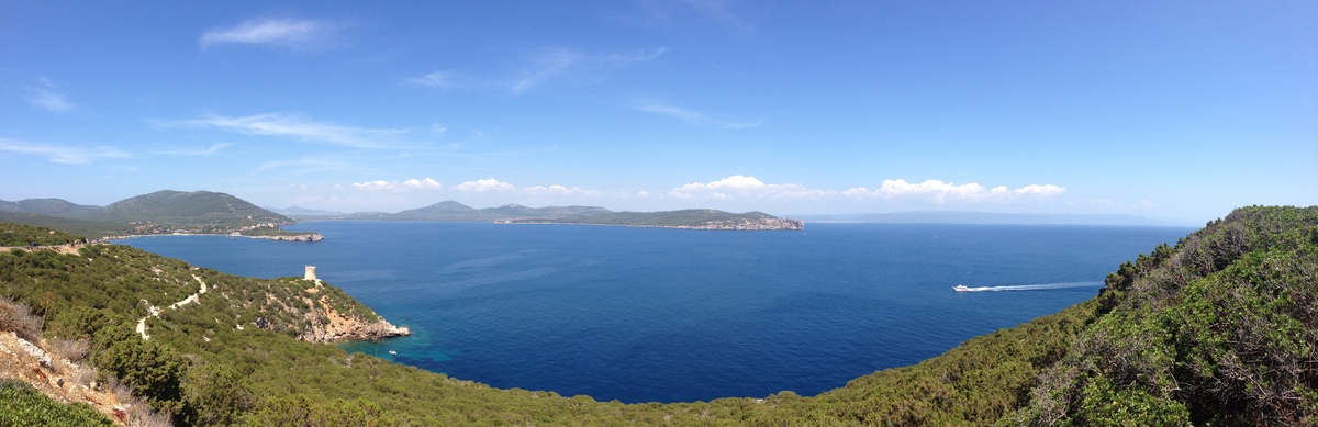 รูปถ่าย อิตาลี(Italy) ซาร์ดิเนีย(Sardinia) อุทยานธรรมชาติปอร์โตกอนเต(Porto Conte Regional Natural Park) 2015-06 42