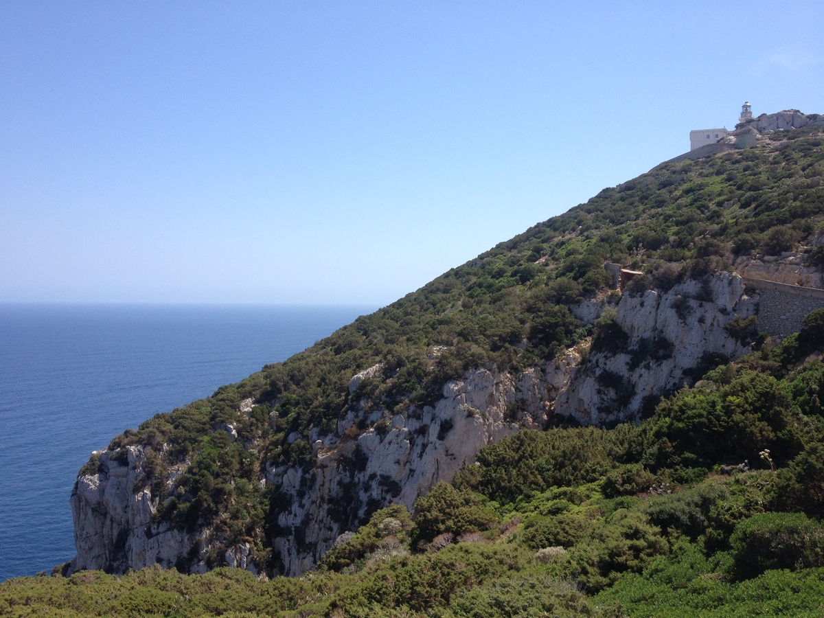 รูปถ่าย อิตาลี(Italy) ซาร์ดิเนีย(Sardinia) อุทยานธรรมชาติปอร์โตกอนเต(Porto Conte Regional Natural Park) 2015-06 47