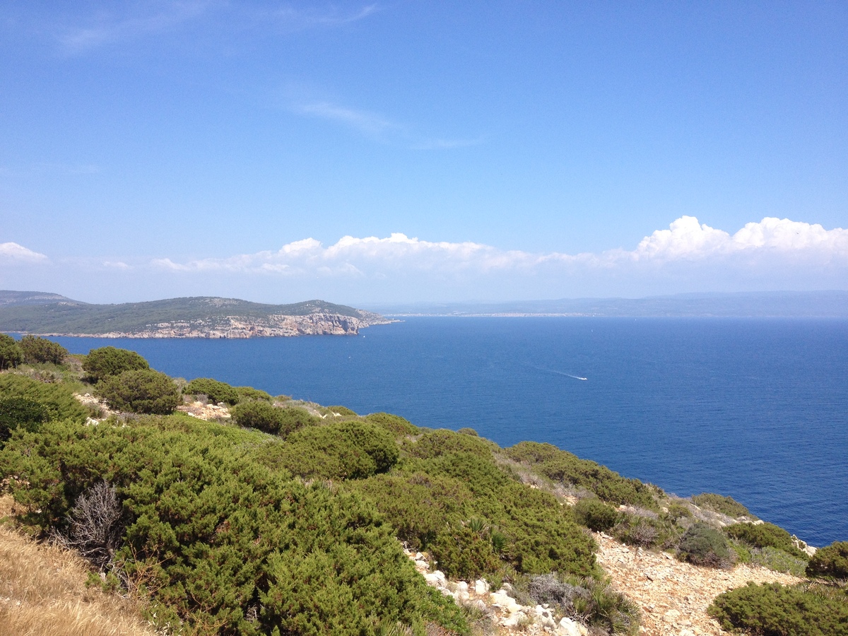 รูปถ่าย อิตาลี(Italy) ซาร์ดิเนีย(Sardinia) อุทยานธรรมชาติปอร์โตกอนเต(Porto Conte Regional Natural Park) 2015-06 15