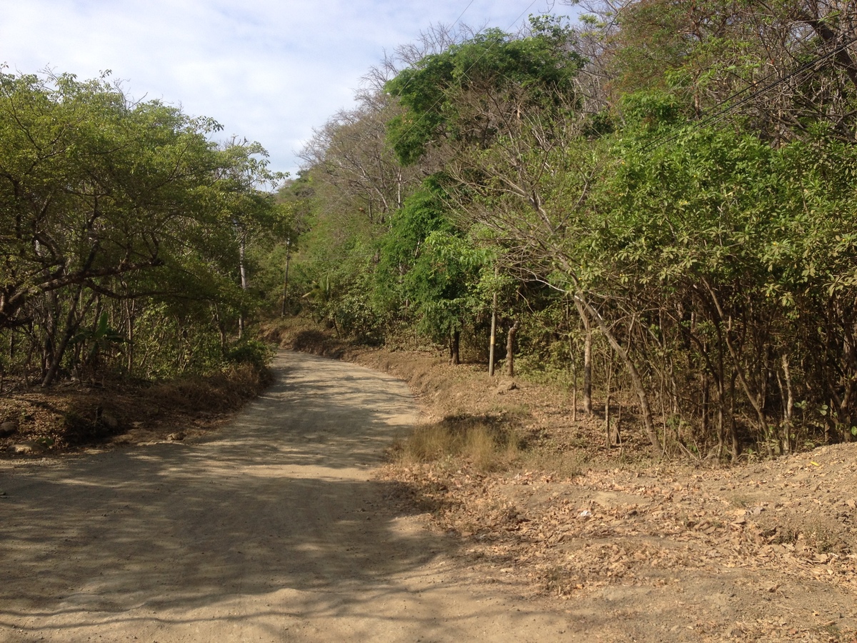รูปถ่าย คอสตาริกา(Costa Rica) มอนเตซูมา(Montezuma) 2015-03 523