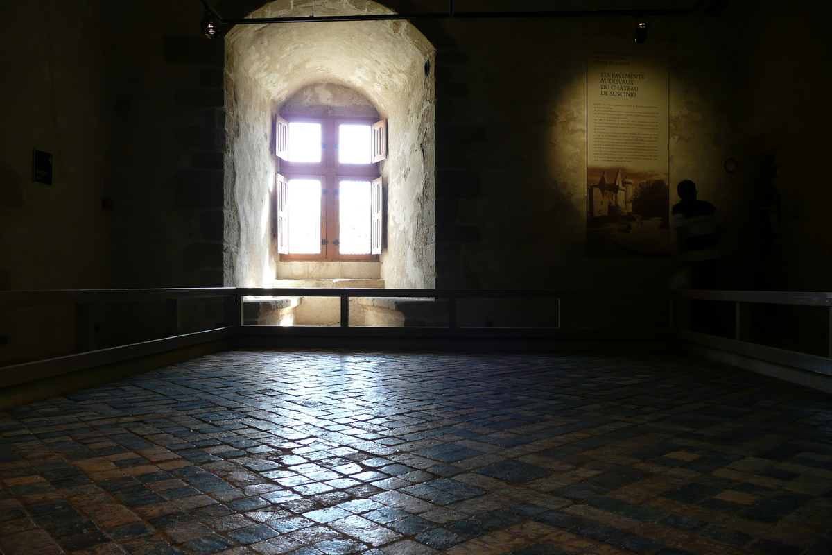 รูปถ่าย ฝรั่งเศส(France) ซืสซีนีโอ(Suscinio) ปราสาทซูซีนีโอ(Suscinio Castle) 2007-09 114