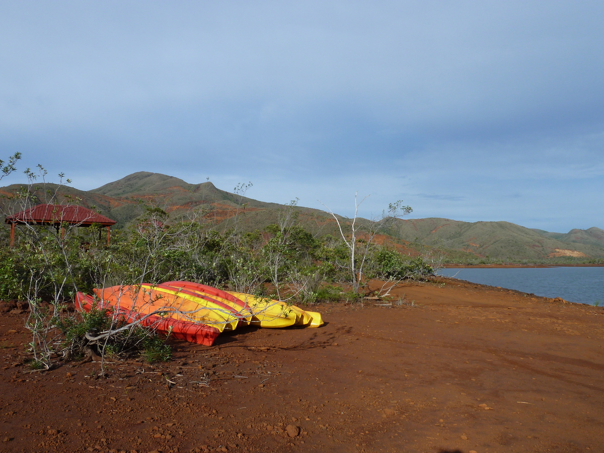 รูปถ่าย นิวแคลิโดเนีย(New Caledonia) อุทยานริเวียร์เบลอ(Parc de la Riviere Bleue) 2010-05 87
