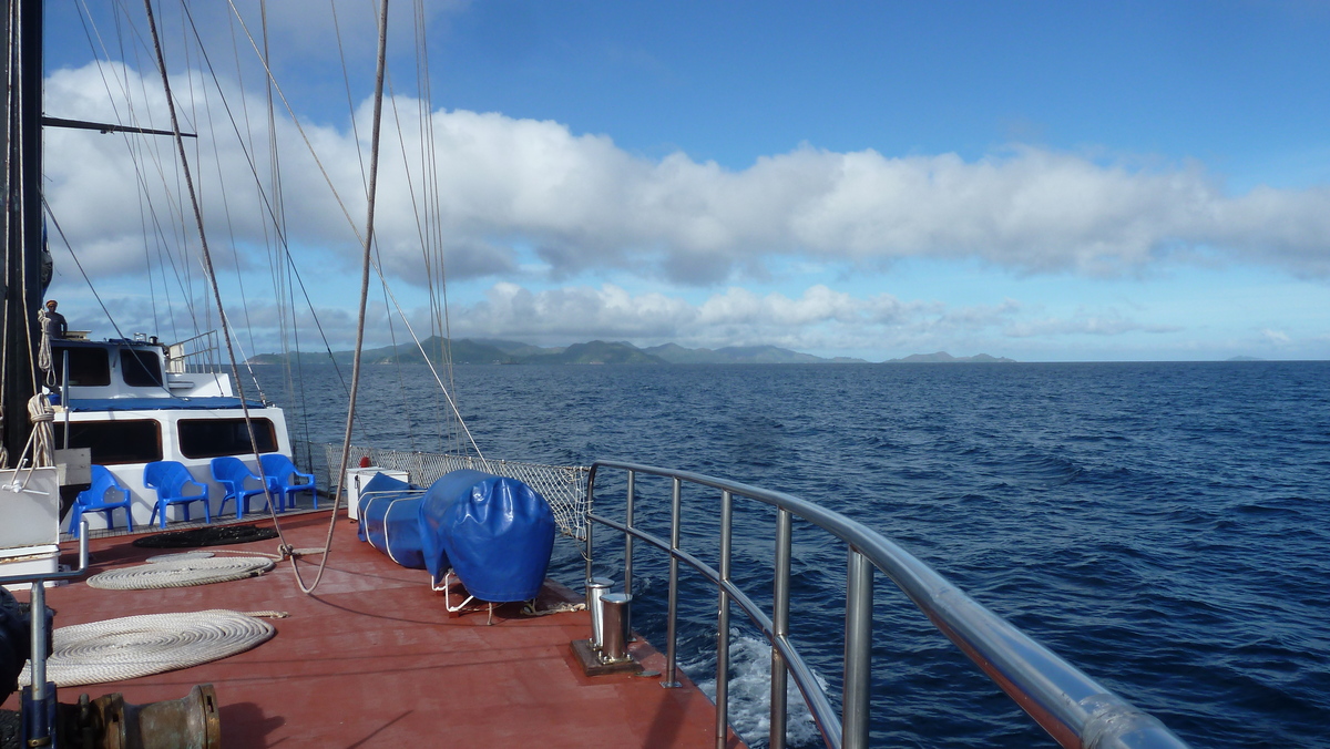 รูปถ่าย เซเชลส์(Seychelles) ซีสตาร์(Sea Star) 2011-10 15